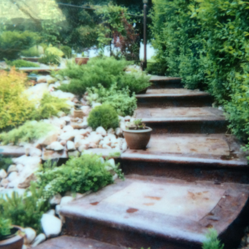 stamped concrete stair case colored stained concrete bullnose